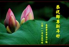 Published on 1/1/2011 ֹ,½󷨵ӹףʦԪ֣ţ - ִ
