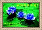 Published on 1/1/2011 ֹ,½󷨵ӹףʦԪ֣ʮһ - ִ
