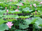Published on 1/1/2011 ֹ,½󷨵ӹףʦԪ֣ʮһ - ִ
