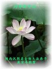 Published on 2/14/2010 ֹ,½󷨵ӹףʦã130أ - ִ - minghui.org