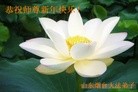 Published on 2/14/2010 ֹ,󷨵ӹףʦ֣210أ - ִ - minghui.org