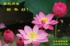 Published on 2/14/2010 ֹ,󷨵ӹףʦ֣210أ - ִ - minghui.org