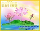 Published on 2/14/2010 ֹ,󷨵ӹףʦ֣210أ - ִ - minghui.org