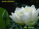 Published on 2/14/2010 ֹ,󷨵ӹףʦ֣210أ - ִ - minghui.org