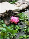 Published on 2/14/2010 ֹ,󷨵ӹףʦ֣210أ - ִ - minghui.org
