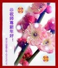 Published on 2/14/2010 ֹ,󷨵ӹףʦ֣210أ - ִ - minghui.org