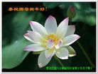Published on 2/14/2010 ֹ,½ҵ󷨵ӹףʦ֣180أ - ִ - minghui.org