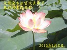 Published on 2/14/2010 ֹ,½취ӡŴ󷨵Ӹʦ - ִ - minghui.org