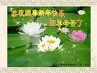 Published on 2/14/2010 ֹ,ʡ󷨵ӹףʦ֣130أ - ִ - minghui.org