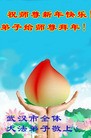 Published on 2/14/2010 ֹ,е󷨵ӹףʦ֣220أ - ִ - minghui.org