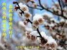 Published on 2/14/2010 ֹ,ʡ󷨵ӹףʦ֣130أ - ִ - minghui.org