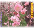 Published on 2/14/2010 ֹ,󷨵ӹףʦ֣210أ - ִ - minghui.org