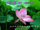 Published on 2/14/2010 ֹ,½ϵ󷨵ӹףʦ֣210أ - ִ - minghui.org