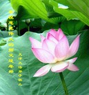 Published on 2/14/2013 ���ֹ�,��½�󷨵��ӹ�ףʦ������ã�45����
