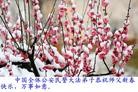 Published on 2/14/2010 ֹ,½취ӡŴ󷨵Ӹʦ - ִ - minghui.org
