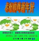 Published on 2/14/2013 ���ֹ�,��½�󷨵��ӹ�ףʦ������ã�45����
