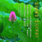 Published on 2/14/2013 ���ֹ�,��½�󷨵��ӹ�ףʦ������ã�45����
