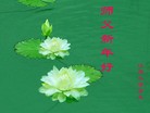 Published on 2/14/2010 ֹ,½У硢֪ʶӹףʦã23ҳ - ִ - minghui.org