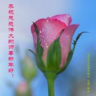 Published on 2/14/2013 ���ֹ�,��½�󷨵��ӹ�ףʦ������ã�45����
