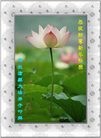 Published on 1/1/2011 ֹ,½󷨵ӹףʦԪ֣ʮ - ִ
