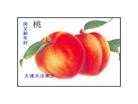 Published on 1/1/2011 ֹ,½󷨵ӹףʦԪ֣ʮ - ִ
