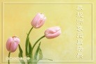 Published on 1/1/2011 ֹ,½󷨵ӹףʦԪ֣ʮ - ִ
