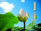 Published on 1/1/2011 ֹ,½󷨵ӹףʦԪ֣ʮ - ִ
