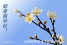 ֹ,д󷨵ӹףʦã150أ - ִ
