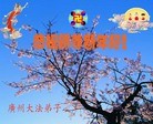 ֹ,ϵ󷨵ӹףʦ֣329أ - ִ
