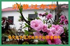 ֹ,󷨵ӹףʦã190أ - ִ
