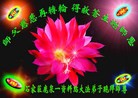 ֹ,󷨵ӹףʦã190أ - ִ

