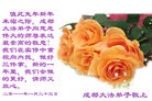法轮功,西南大法弟子恭祝师尊新年好（逾150地） - 法轮大法明慧网
