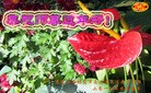 Published on 2/3/2011 ֹ,½󷨵ӹףʦã177أ - ִ
