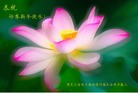 Published on 2/3/2011 ֹ,½󷨵ӹףʦã177أ - ִ
