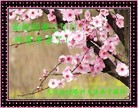 Published on 2/3/2011 ֹ,½󷨵ӹףʦã177أ - ִ
