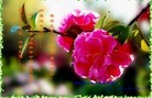 ֹ,󷨵ӹףʦ֣221أ - ִ
