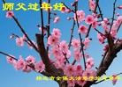 ֹ,󷨵ӹףʦ֣220أ - ִ
