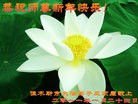 Published on 2/3/2011 ֹ,½󷨵ӹףʦã177أ - ִ
