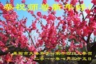 ֹ,󷨵ӹףʦ֣220أ - ִ
