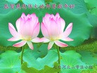 ֹ,󷨵ӹףʦ֣221أ - ִ
