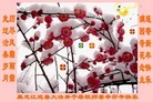 Published on 2/3/2011 ֹ,½󷨵ӹףʦãߣ233أ - ִ
