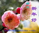 Published on 2/3/2011 ֹ,йǷѺĴ󷨵ӹףʦ - ִ
