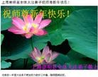 Published on 2/3/2011 ֹ,½󷨵ӹףʦãţ252أ - ִ
