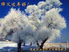Published on 2/3/2011 ֹ,½󷨵ӹףʦã壬218أ - ִ
