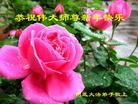 Published on 2/3/2011 ֹ,½󷨵ӹףʦã231أ - ִ

