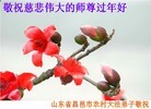Published on 2/3/2011 ֹ,ũ󷨵Ӹʦ - ִ
