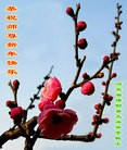 Published on 2/3/2011 ֹ,½󷨵ӹףʦãʮ296أ - ִ
