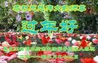 Published on 2/3/2011 ֹ,½󷨵ӹףʦãģ233أ - ִ
