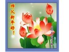 Published on 2/4/2011 ֹ,½󷨵ӹףʦ֣ʮ236أ - ִ
