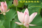 Published on 2/3/2011 ֹ,½󷨵ӹףʦã231أ - ִ

